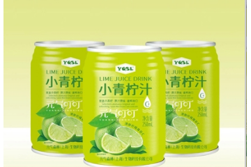 安庆元气森林食品有限公司