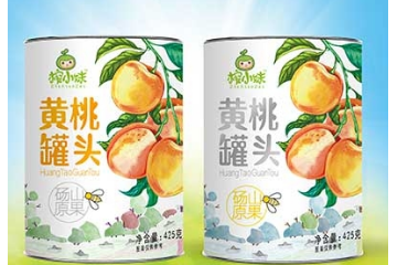 合肥豆乐滋食品有限公司