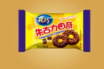 武汉真巧食品有限公司