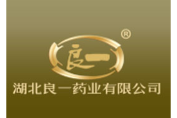 湖北良一药业股份有限公司