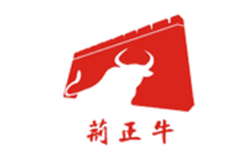 湖北正牛食品有限公司