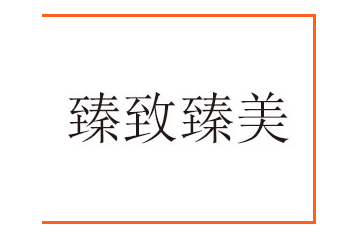陕西臻致臻美商贸有限公司