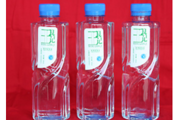 湖北王良记食品有限公司