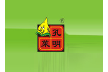 湖北襄阳孔明菜食品有限公司
