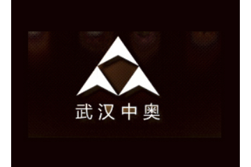 武汉市中奥生物工程有限公司