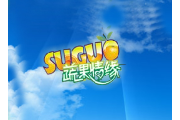 武汉蔬果情缘食品有限公司