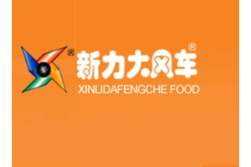 荆州市新力大风车食品有限公司