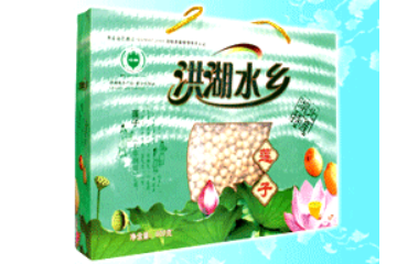 洪湖晨光实业有限公司