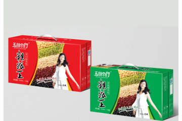 淮南豆之原食品股份有限公司