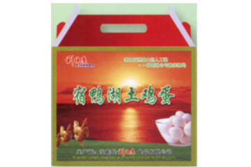 汝南县利维康食品有限公司