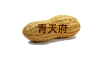 开封市青天府食品加工厂