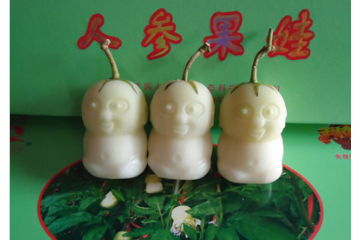 安徽镇园人参果娃生态科技有限公司