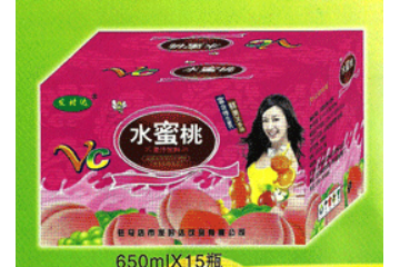 驻马店市发时达饮料有限公司