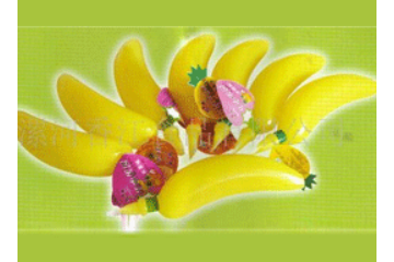 漯河香江食品有限公司