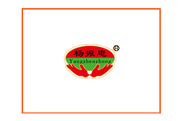 靖边县定边杨振忠炉馍麻花店