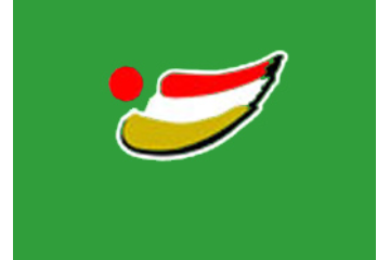 通江县绿野食品有限公司