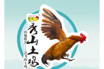 重庆鲁渝立强有限公司