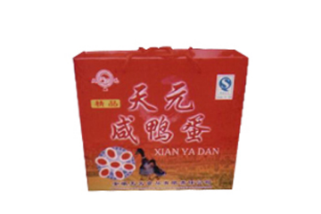 安徽天元食品有限责任公司