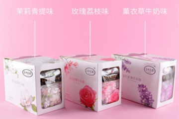 潮州市潮安区不二臣食品科技有限公司