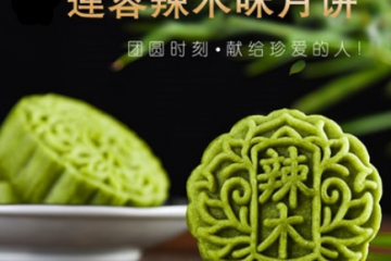 广东健南村食品有限公司