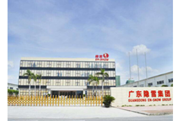 广东隐雪集团有限公司