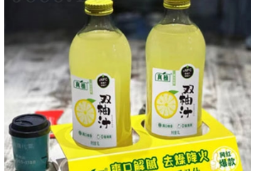 海南真植食品集团有限公司