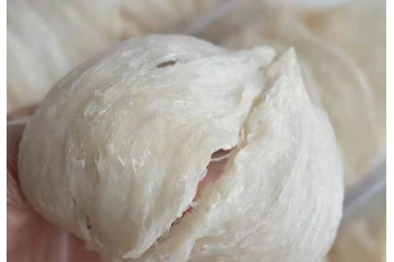 海南圣洋生物科技有限公司