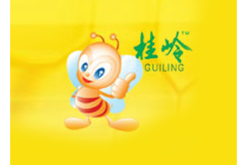 蕉岭县天然蜂业有限公司