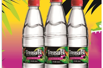 海南金盘饮料有限公司