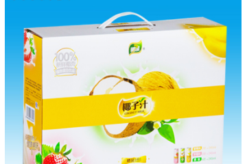 海南椰龙食品工业有限公司椰能事业部