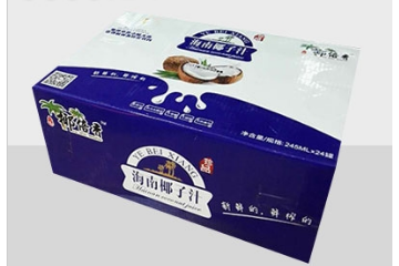 海南椰倍香食品有限公司