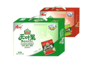 广东林老弟食品有限公司