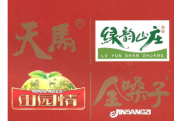 广东天马果饮有限公司