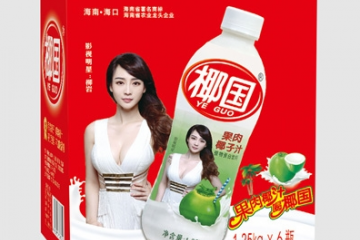 海南椰国实业集团有限公司