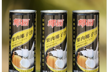 海南省椰园实业股份有限公司