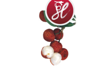 高州龙利果业有限公司