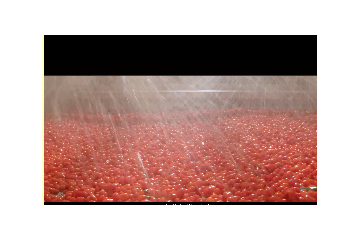 宁夏沃福百瑞枸杞产业股份有限公司