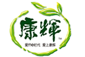 广东康辉集团有限公司