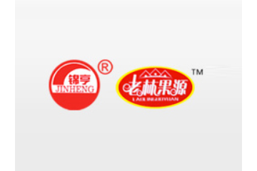 广东揭西县振锋食品厂