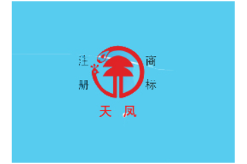 广东天凤食品有限公司