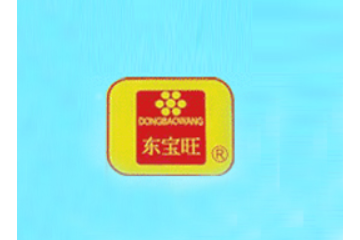 南靖东宝旺食品有限公司