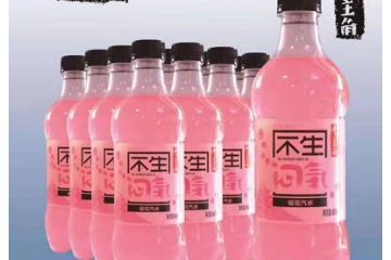 河池市吉民宝食品厂