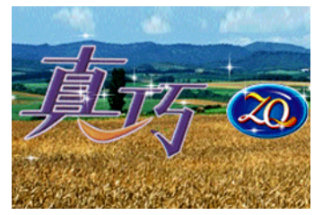 广州市真巧食品有限公司