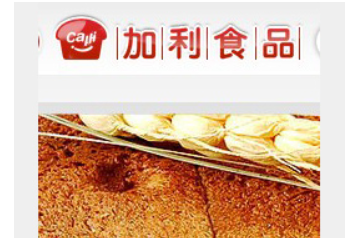 广东省汕头市加利食品公司