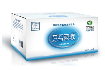 广西巴马丽琅饮料有限公司