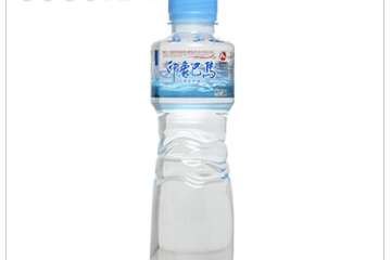 广西巴马寿天下食品饮料有限公司