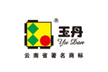 云南康伟信息技术有限公司