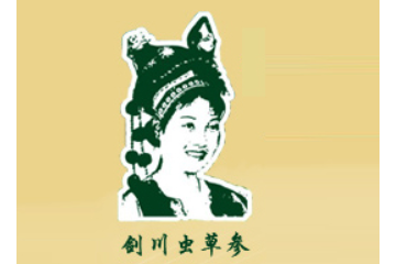 云南剑川车记地参食品厂