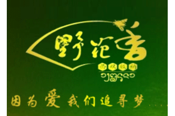 西双版纳州野花香谷蜜蜂生态园有限公司