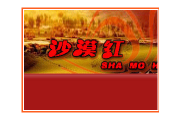 新疆沙漠红枣业有限公司